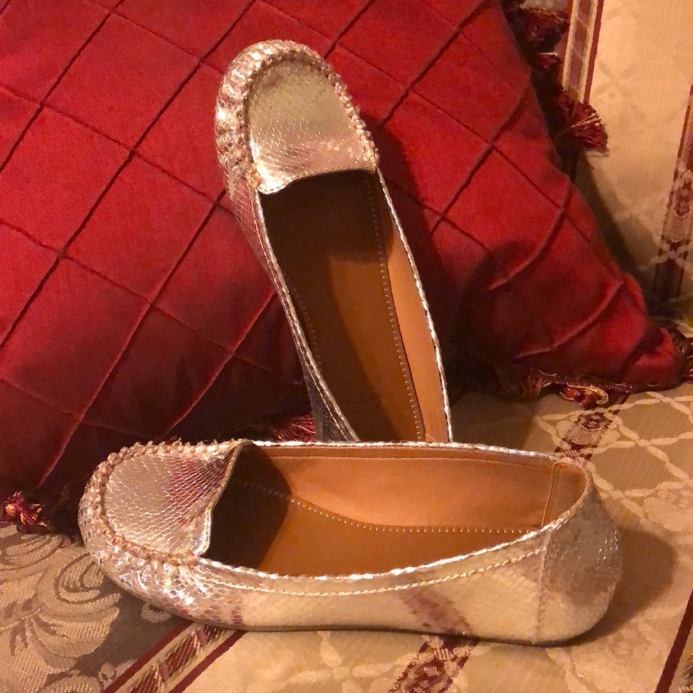 Mia 2 Shiny Silver Snakeskin Slip-on Flats